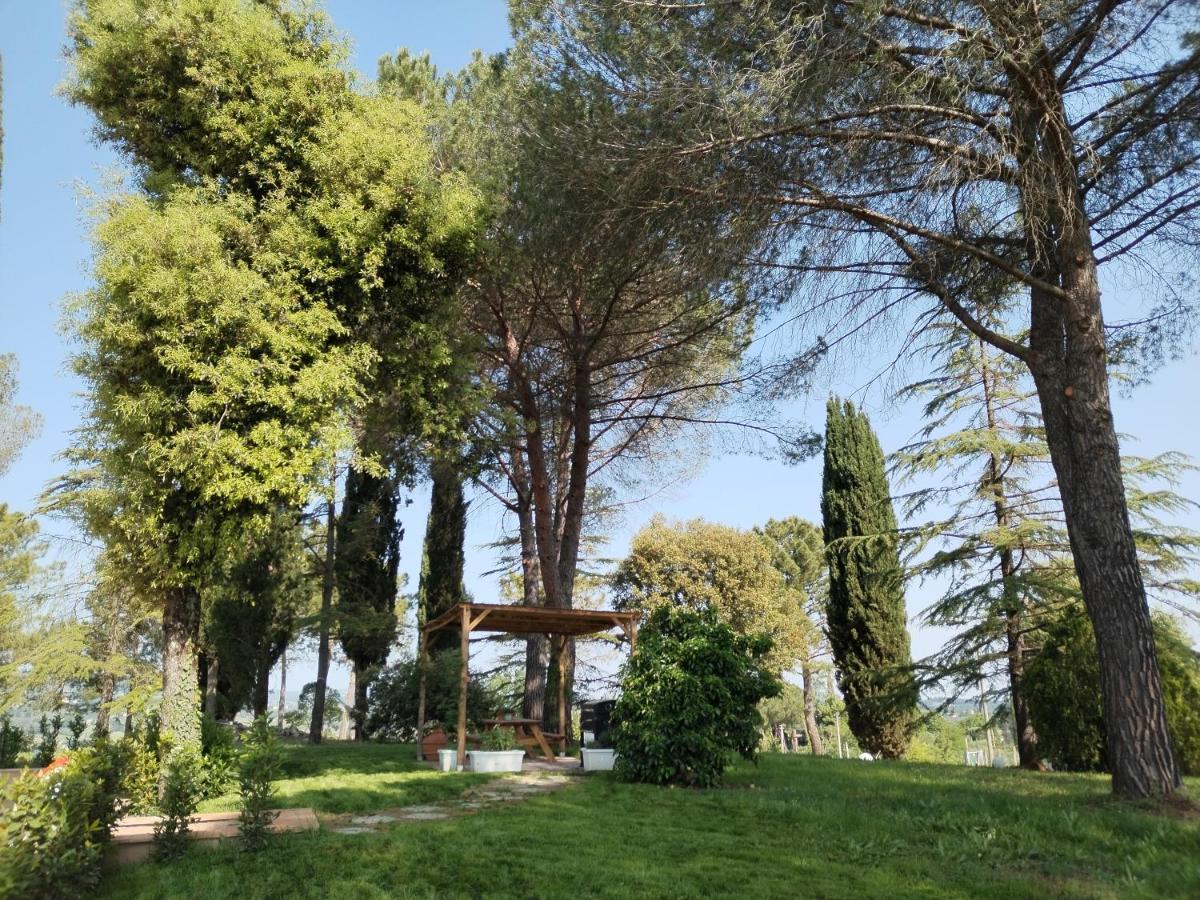 Agriturismo Poggio Rotondo Сан-Джиминьяно Экстерьер фото